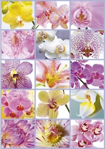 Puzzle educa 1500 piezas, collage de flores